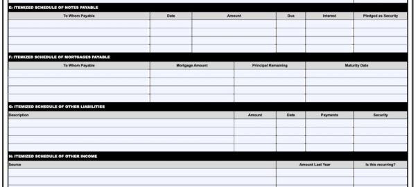 REBNY Financial Statement - Template & Instructions (2023)